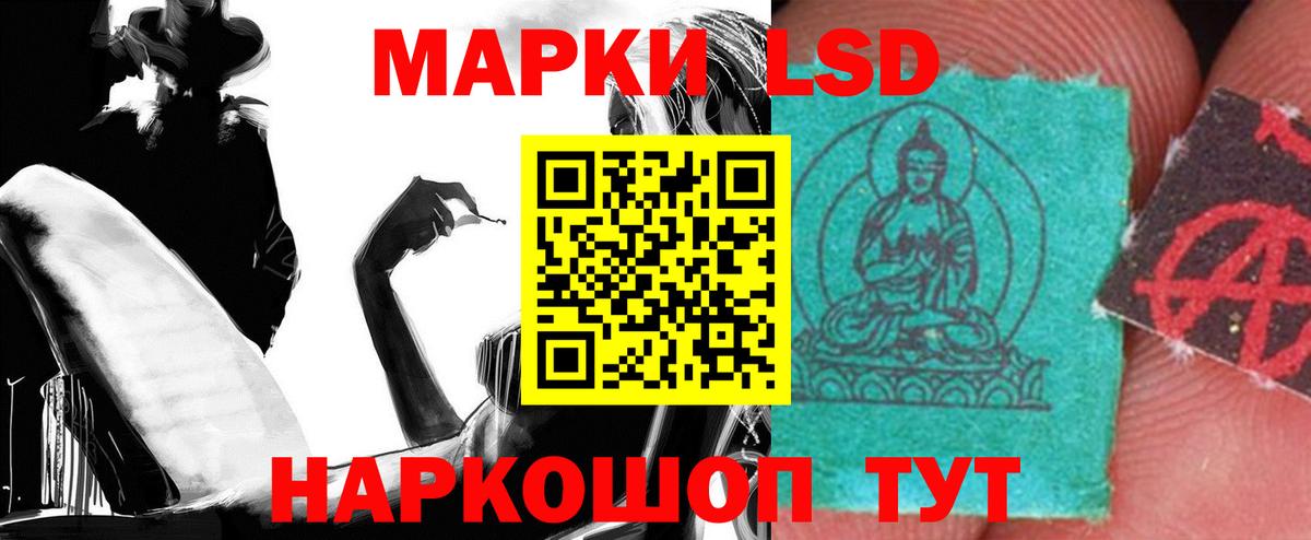 Галлюциногенные грибы Бугульма